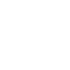 Icono PDF